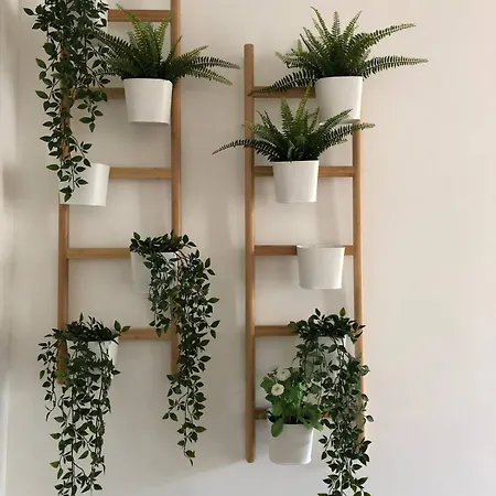 Πανσιόν Bragas Center *